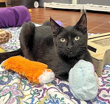 Photo of Silas
