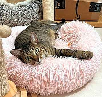 Photo of TRUDY