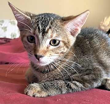 Photo of Libby
