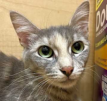 Photo of Cloud