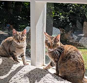 Photo of Riley 'n Rain-Sister Act