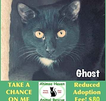 Photo of Ghost