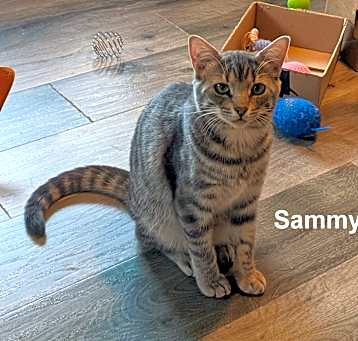 Photo of Sammy & Sally