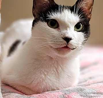 Photo of Cho