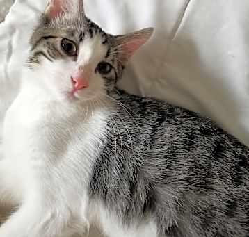 Photo of Kye