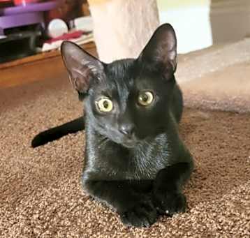 Photo of Vinny
