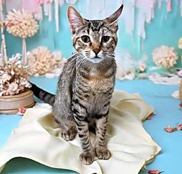 Photo of Jack