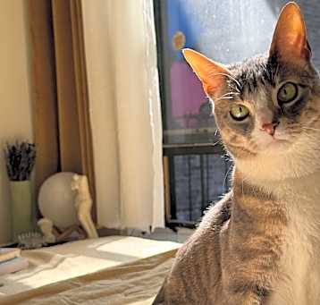 Photo of Georgie