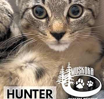 Photo of Hunter