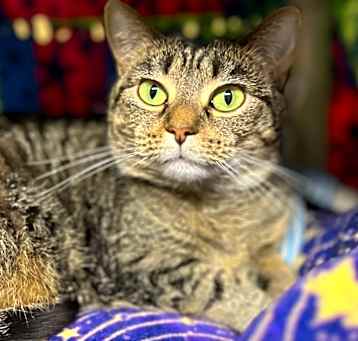 Photo of Annie