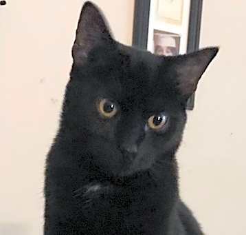 Photo of Zeus