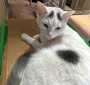 Photo of Timmy
