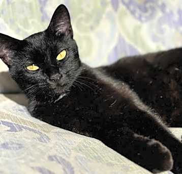 Photo of Flora