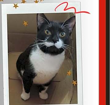 Photo of Sally - Cutie!