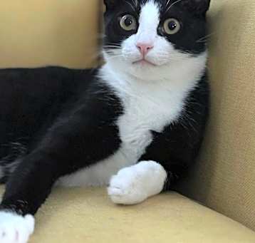 Photo of Buddy