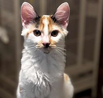 Photo of Sandy