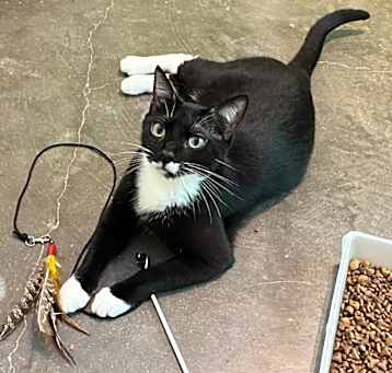 Photo of Salem (100% sponsored)