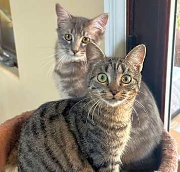 Photo of Emery & Sage