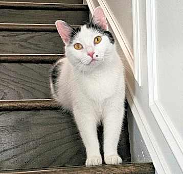Photo of Morgan