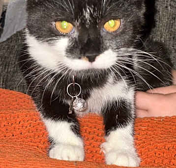 Photo of Mimi