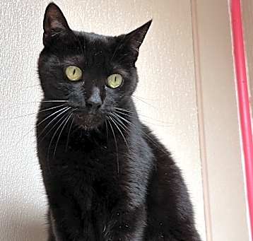 Photo of Harriet