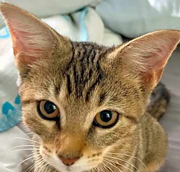 Photo of Tabitha