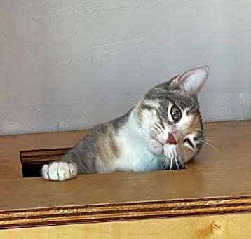 Photo of Fran