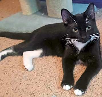 Photo of Jackson