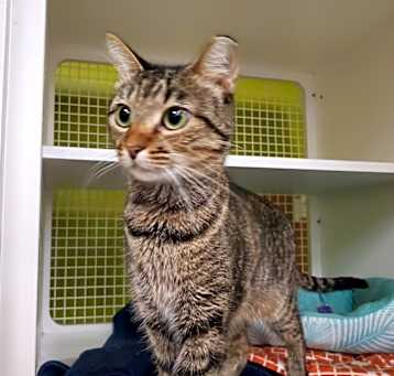 Photo of Darlene 1485