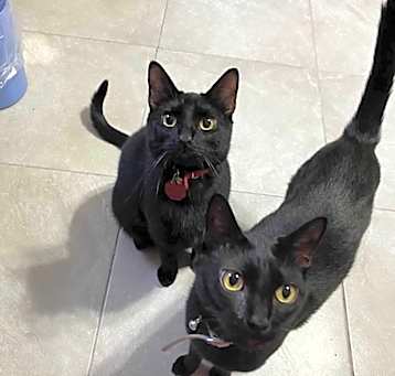 Photo of Thomas and Jack