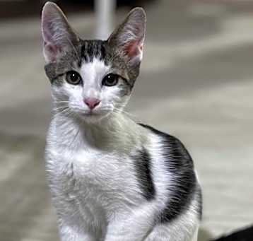 Photo of Simon