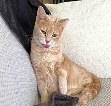 Photo of Mimi