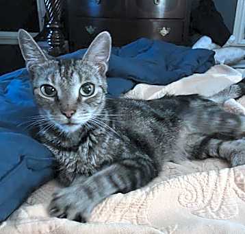 Photo of Mason