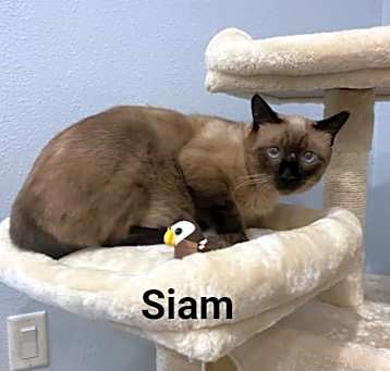 Photo of SIAM