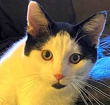 Photo of Sammy