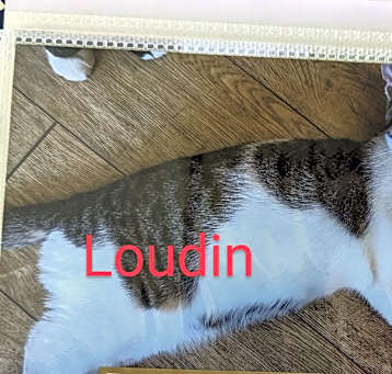 Photo of Loudin