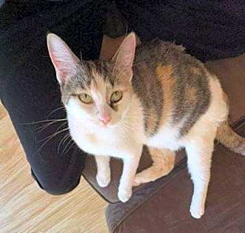 Photo of Charlene