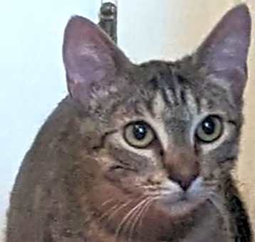 Photo of Momma Nala