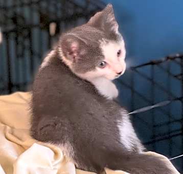 Photo of Ms. Puuuurcy