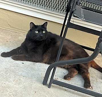 Photo of Katy Purry