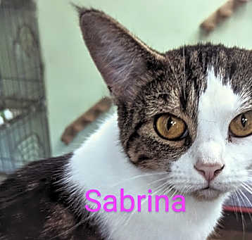 Photo of Sabrina