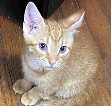 Photo of Redd