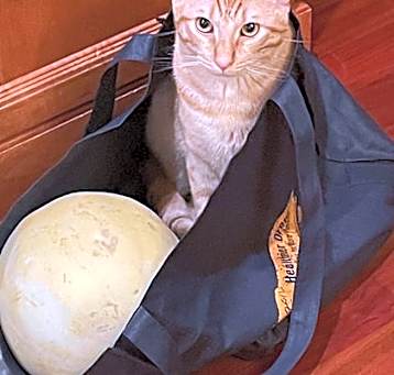 Photo of Oliver