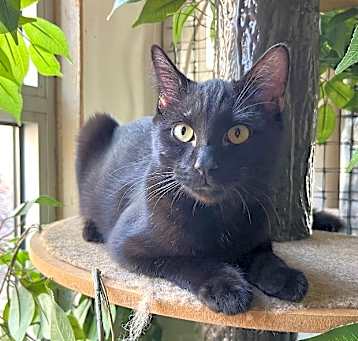 Photo of Wizard