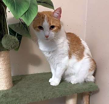 Photo of Penelope