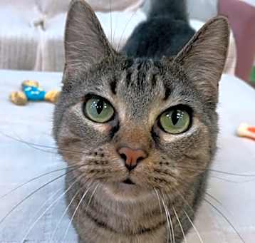 Photo of Elsie