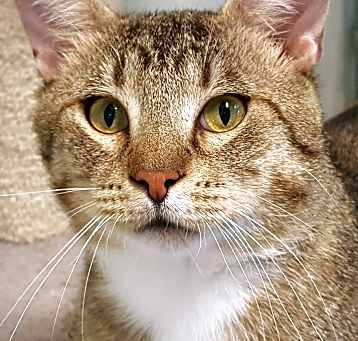 Photo of Sneezy
