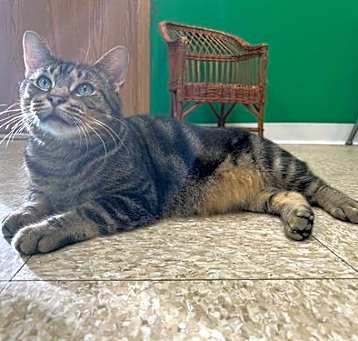 Photo of Ozzie