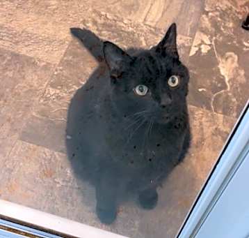 Photo of Mr. Bear