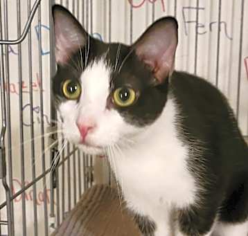 Photo of Mason
